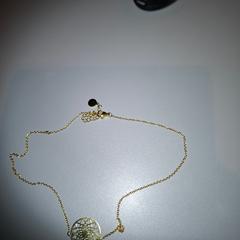 Kettinkje goudkleurig, segons ha informat Alrijne Alphen aan den Rijn mitjançant iLost