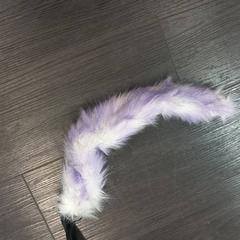 Vossenstaartje paars, ako bolo nahlásené Libéma Beurzen en Evenementen pomocou iLost