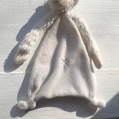 Manteta, segons ha informat DierenPark Amersfoort mitjançant iLost