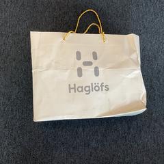 Bag, as reported by Breng Arnhem using iLost
