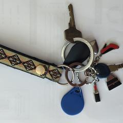 Sleutelbos, ha sido reportado a iLost