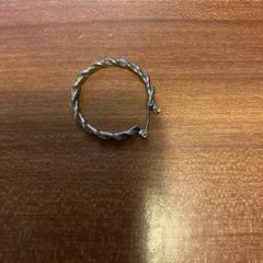 Oorbel Zilver, zgłoszono przez Pathé Rembrandt Utrecht przy użyciu iLost