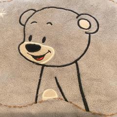 Cushion Brown, as reported by MEININGER Hotel Leipzig Hauptbahnhof using iLost