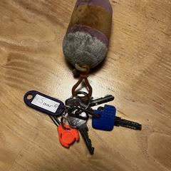 Sleutelbos, segons s'ha informat a iLost