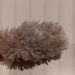 Plüss, amint azt De Efteling az iLost segítségével jelentette.