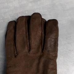 Guants Bruin leer, segons ha informat Arriva Friesland / Groningen mitjançant iLost