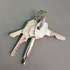 Sleutels がiLostで Diergaarde Blijdorp によって報告されました