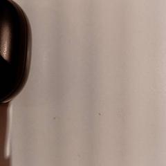 Auricular, segons ha informat De Efteling mitjançant iLost