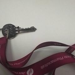 Kľúč, ako bolo nahlásené ilévia pomocou iLost