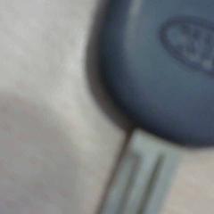 Clef de voiture, a été signalé par Walibi Holland utilisant iLost