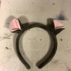 Hair band, as reported by Artis using iLost