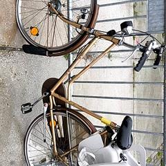 Dámské kolo Gazelle, jak nahlášeno Stadswerk072 pomocí iLost