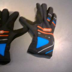 Gloves, as reported by SnowWorld Landgraaf using iLost
