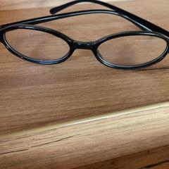 Bril, zoals gemeld door Attractie- & Vakantiepark Slagharen met iLost