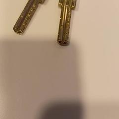 Kľúče Keycord, ako bolo nahlásené RAI Amsterdam pomocou iLost