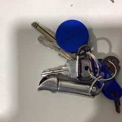 Portachiavi Blauwe tag -071125 SPRING1, come riportato da Ziggo Dome utilizzando iLost