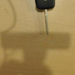 Klíče od auta zwart, jak nahlášeno Walibi Holland pomocí iLost