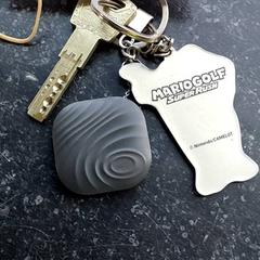 Schlüssel, gemeldet von Regio Antwerpen - Brussel über iLost