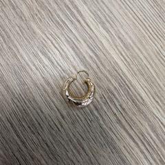 Earring, as reported by TCR Tours using iLost