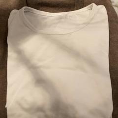 Pull & T shirt, a été signalé par Van der Valk Hotel Heerlen utilisant iLost