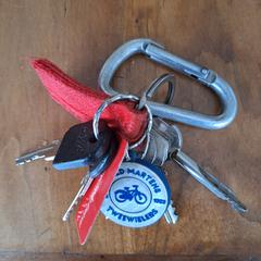 Sleutelbos, gerapporteerd met iLost