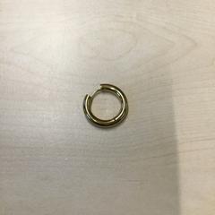 Oorbel, segundo informou Gemeente Nijmegen usando iLost