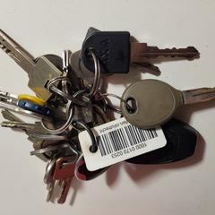 Grote sleutelbos, som rapporterats till iLost