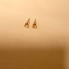 Earring, as reported by Mövenpick Hotel Amsterdam City Centre using iLost