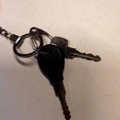 Chaves, como reportado por Qbuzz ZHN utilizando o iLost