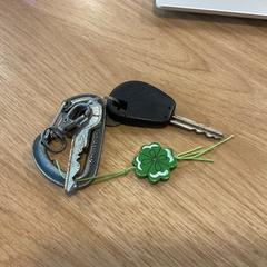 Llave, ha sido reportado por Gemeente Alkmaar con iLost