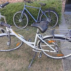 Bicicletta Wit, come riportato da Gemeente Zonhoven utilizzando iLost