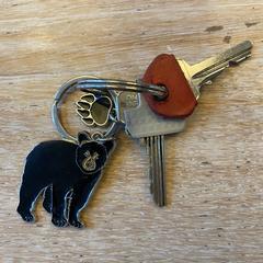 Sleutelbos, as reported to iLost