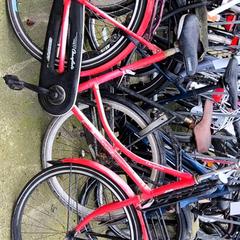Bicicleta femenina Edwards, segons ha informat Stadswerk072 mitjançant iLost