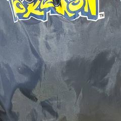 Zwemzak - Pokemon, zgłoszono przez Centraal magazijn przy użyciu iLost