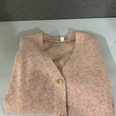 Vesta, ako bolo nahlásené Fenix pomocou iLost