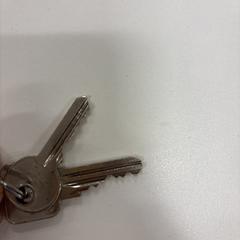 Sleutelbos, jak zgłoszono do iLost