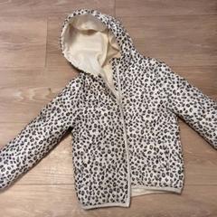 Jasje kind がiLostで Diergaarde Blijdorp によって報告されました