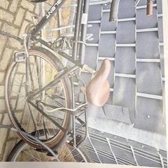 Herenfiets, gisa salatu by Gemeente Roermond iLost erabiliz