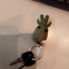 Stylo, segundo informou LUMC usando iLost