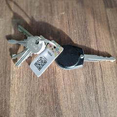 sleutelbos met autosleutel, som rapporterats till iLost