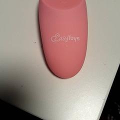 Fernbedienung & Vibrator Roze, gemeldet von Van der Valk Hotel Tiel über iLost