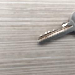 المفاتيح، كما تم الإبلاغ عنه بواسطة Centraal magazijn عبر iLost