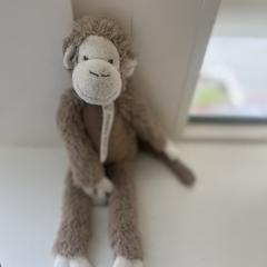 Aapje van happy horse, som rapporterats till iLost