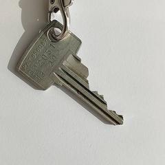 İLost kullanarak Centraal magazijn tarafından bildirildiği gibi Anahtar - Met sleutelhanger lint ziekenhuisnetwerk