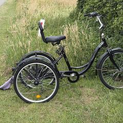 Driewieler fiets volwassene, come riportato a iLost