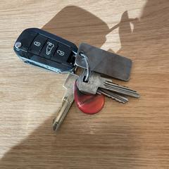 Car key, as reported by Gemeente Alkmaar using iLost
