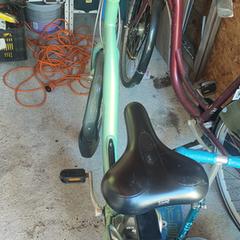 Groene fiets, som rapporterats till iLost