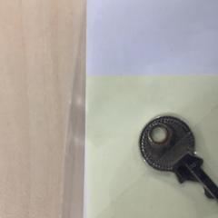 Key, as reported by Diakonessenhuis Utrecht using iLost