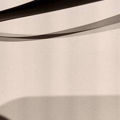 Ulleres de sol, segons ha informat De Efteling mitjançant iLost