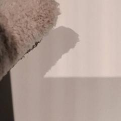 Knuffel, como reportado por De Efteling utilizando o iLost